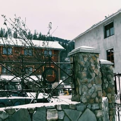 Лев у Світлани