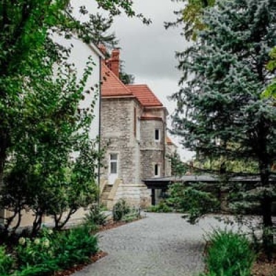Lion's Castle