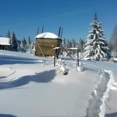 Сімейний