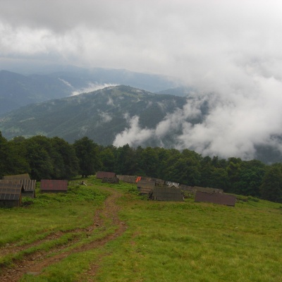 Полонина Браїлка