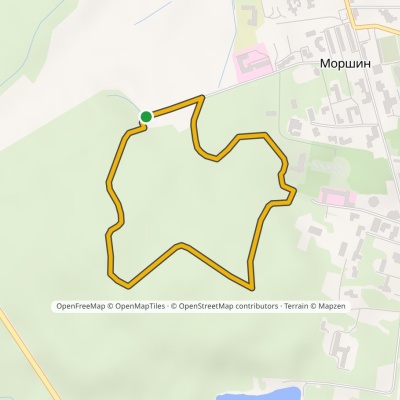 nr 5007 Morszyn: nordic walking