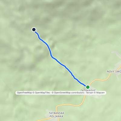 Tatrzańskie Zręby – Rozdroże nad Zrębami