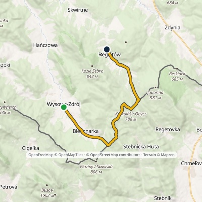 Wysowa-Zdrój – Regietów