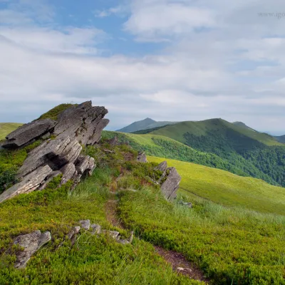 Local geographical terms of the Ukrainian Carpathians — 4