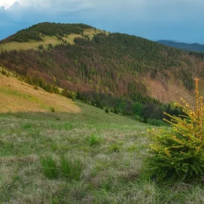 Parashka – jedna z najwyższych gór w regionie Lwowskim — 4