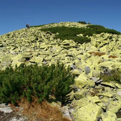 Local geographical terms of the Ukrainian Carpathians — 3