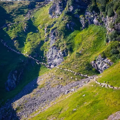 Pasmo górskie Marmarosz jest kwiatowym cudem Alp Huculskich — 4