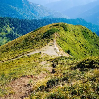 Pasmo górskie Marmarosz jest kwiatowym cudem Alp Huculskich — 2