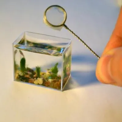 About the Nano-Aquarium Exhibition in Uzhhorod and the Smallest Nano-Aquarium in the World