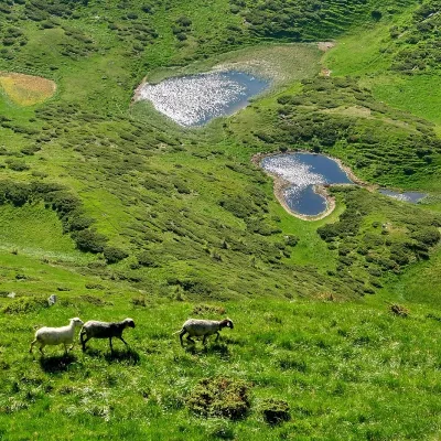 Svydovets mountain range (ridge) — 3