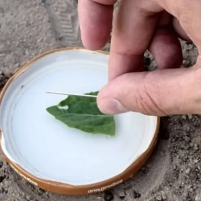How to Make a Compass with Your Own Hands (Video)