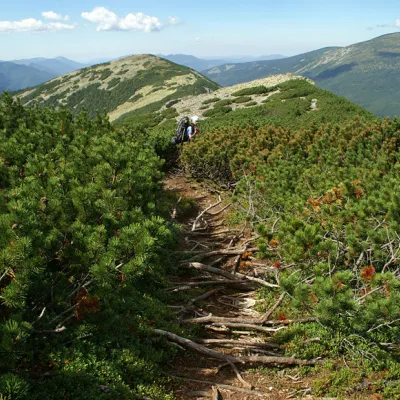 Local geographical terms of the Ukrainian Carpathians — 2