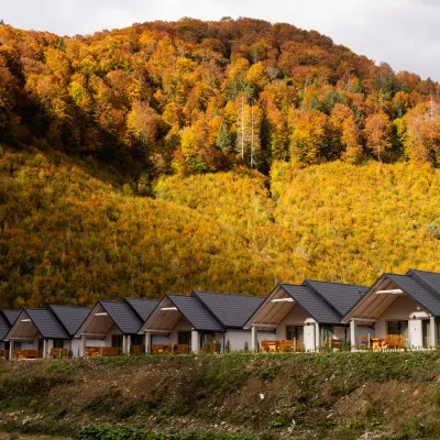 Domki Mizhhirya Mountain Resort
