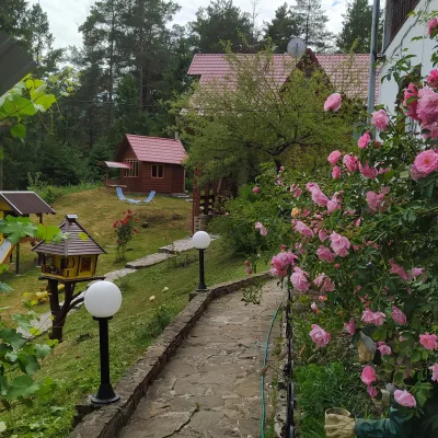 Lisova Kazka — 2
