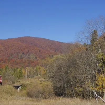 Bieszczady Forest Railway — 2