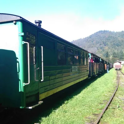 Bieszczady Forest Railway — 3