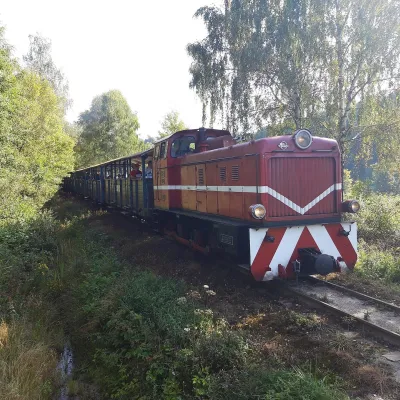 Бещадська лісова залізниця