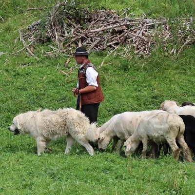 Bacówka w Dolinie Kościeliskiej — 3