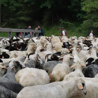 Bacówka w Dolinie Kościeliskiej — 2