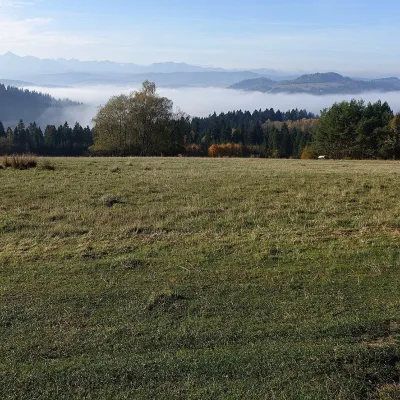 Bacówka na Hali Majerz w Pienińskim Parku Narodowym: oscypki — 5