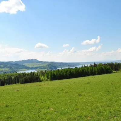 Bacówka na Hali Majerz w Pienińskim Parku Narodowym: oscypki — 4