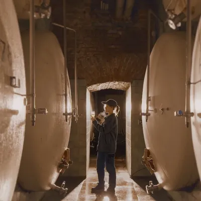 Archducal Castle Brewery, Cieszyn: 180 years of beer and rock cellars — 4