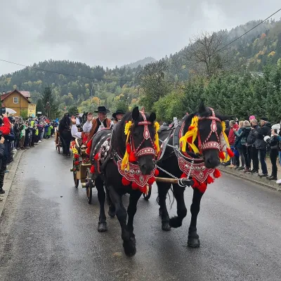Осінній редик у Щавниці: тисячі овець, осципки й баци — 4