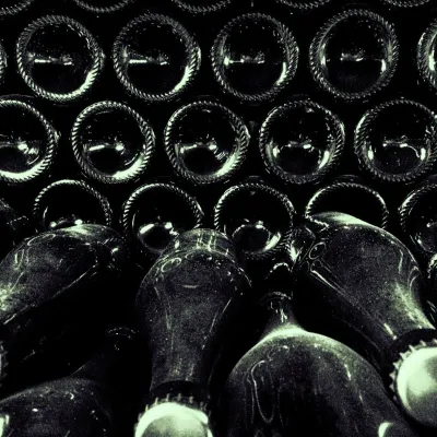 Chodorowa vineyard near Grybów: tour and wine tasting — 5