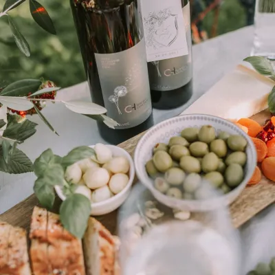 Winnica Chronów: natural wines where the Island Beskids begin — 4