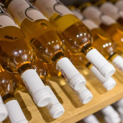 Winnica Księżycowa w Połomi: degustacje z winiarzem — 4