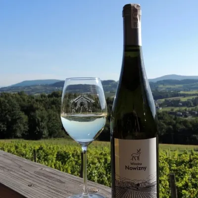 Winnica Nowizny, Połom Mały: wine from an 1891 cellar — 2