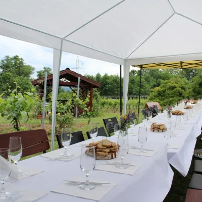 Vanellus Vineyard, Jareniówka near Jasło: wine tastings — 3