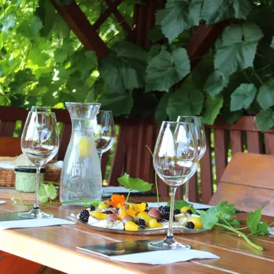 Vanellus Vineyard, Jareniówka near Jasło: wine tastings — 4