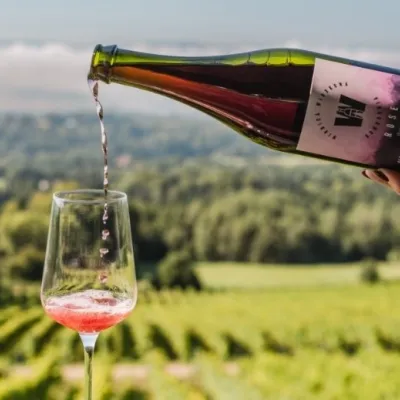 Winnica Widokowa w Komborni: wino z widokiem na Beskidy — 2