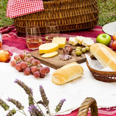Winnica Widokowa w Komborni: wino z widokiem na Beskidy — 4
