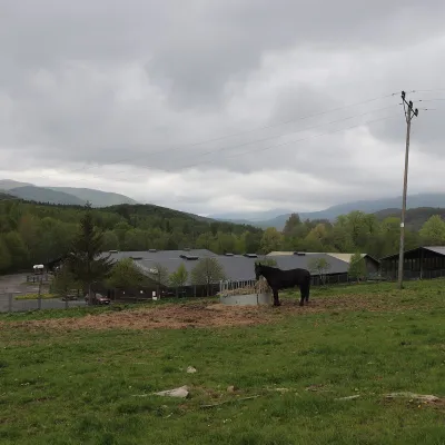 Hucul Horse Stud in Wołosate, Bieszczady National Park