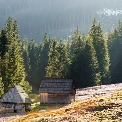 Chochołowska Valley — 3