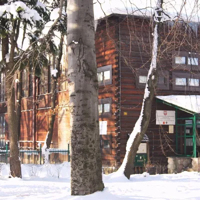Галерея Владислава Гасьора в Закопаному — 2