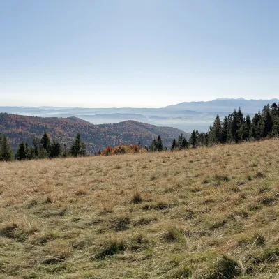 Hala Długa below Turbacz — 2