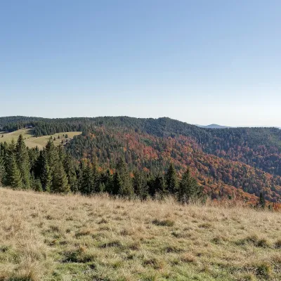 Hala Długa pod Turbaczem