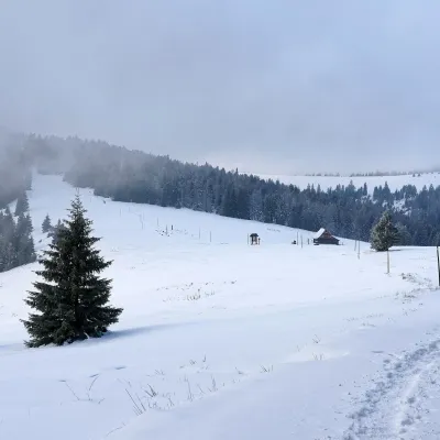 Hala Długa below Turbacz — 3