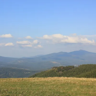 Hala Miziowa