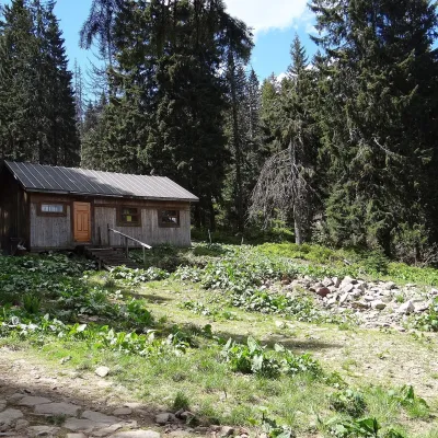 Маркові Щавини