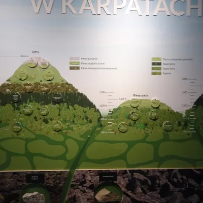 Muzeum Przyrodnicze Bieszczadzkiego Parku Narodowego w Ustrzykach Dolnych — 4
