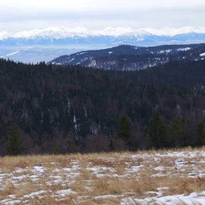 Gorc Kamienicki Glade — 4