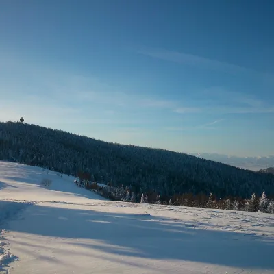 Gorc Kamienicki Glade — 5