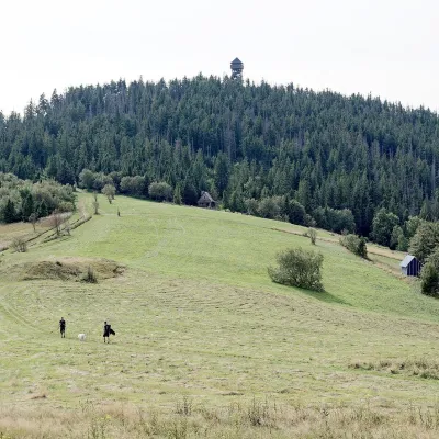 Gorc Kamienicki Glade — 2