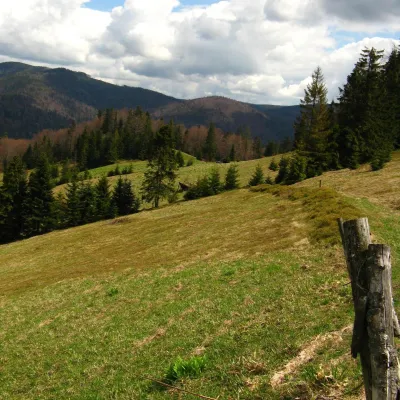 Turbaczyk Glade