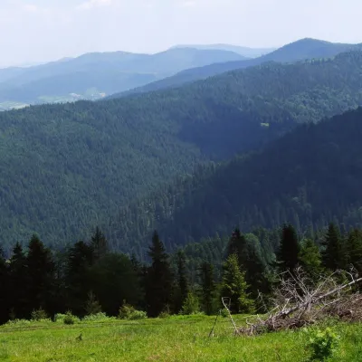 Turbaczyk Glade — 5