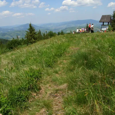 Turbaczyk Glade — 2